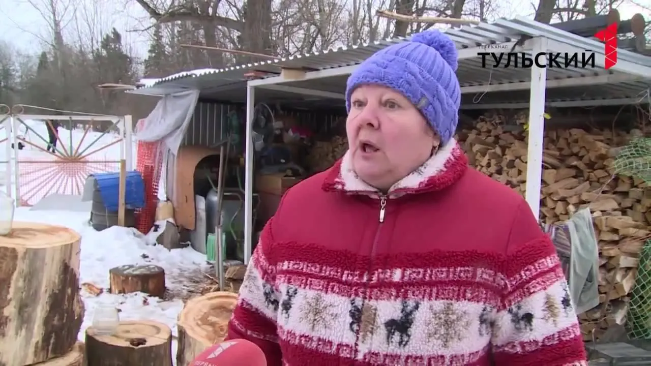 Кадр из телесюжета