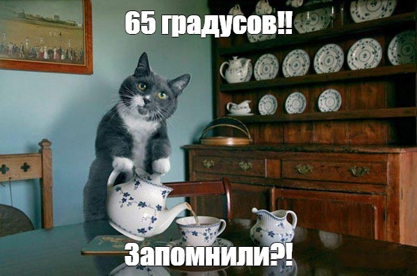 Мем «65 градусов!! Запомнили?!» с котом и чайником