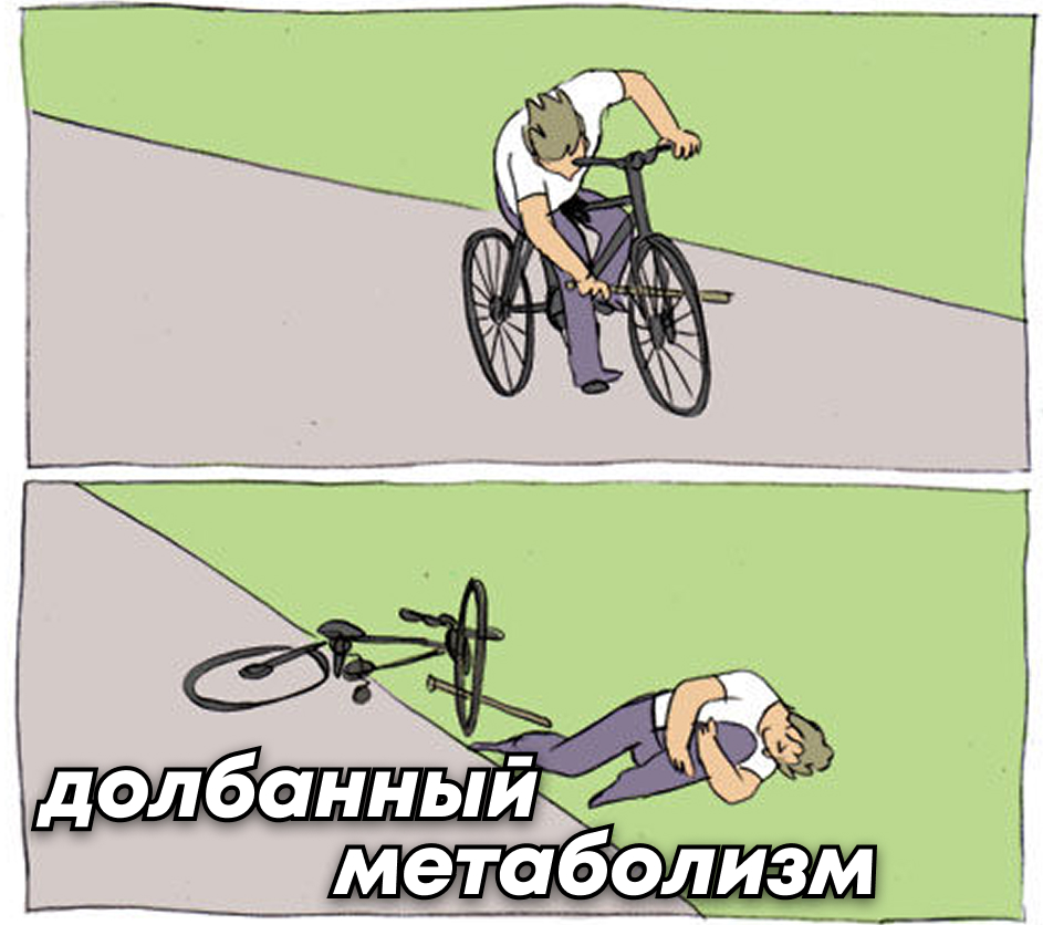 Мем о цикле похудения и обвинении обмена веществ