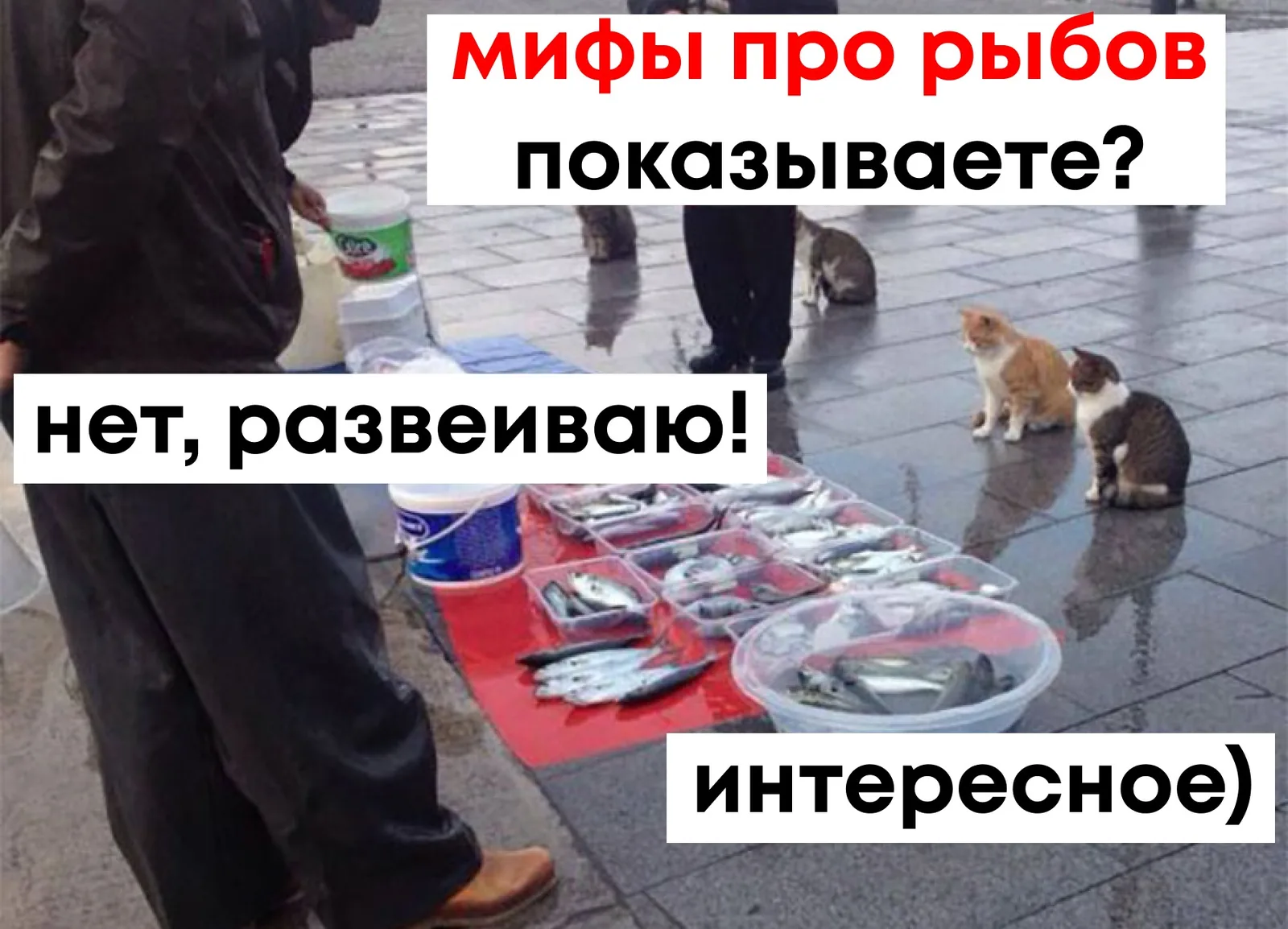 Иллюстрация к статье «Мусорная рыба или мусорные нутрициологи?»