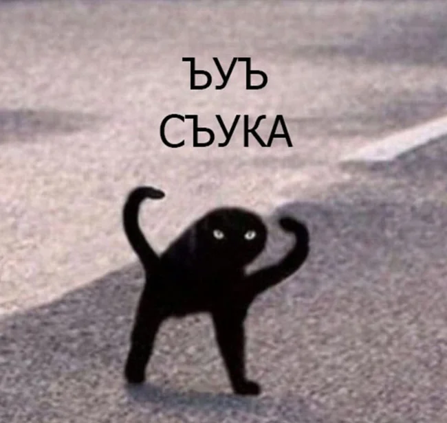 Реакция автора: крайне не согласен