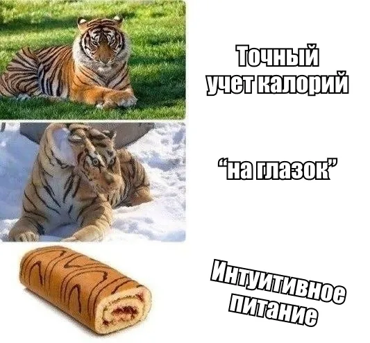 Мем: точный учет калорий, «на глазок» и интуитивное питание